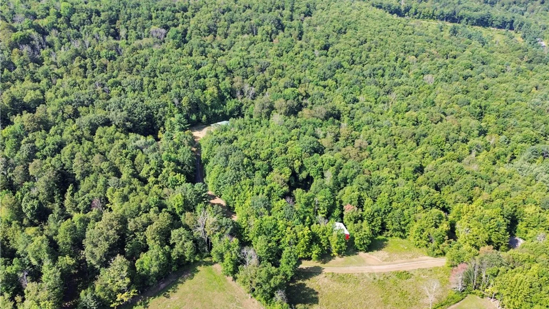 Property at 319 Hosier Road, Davenport, NY 13820 32