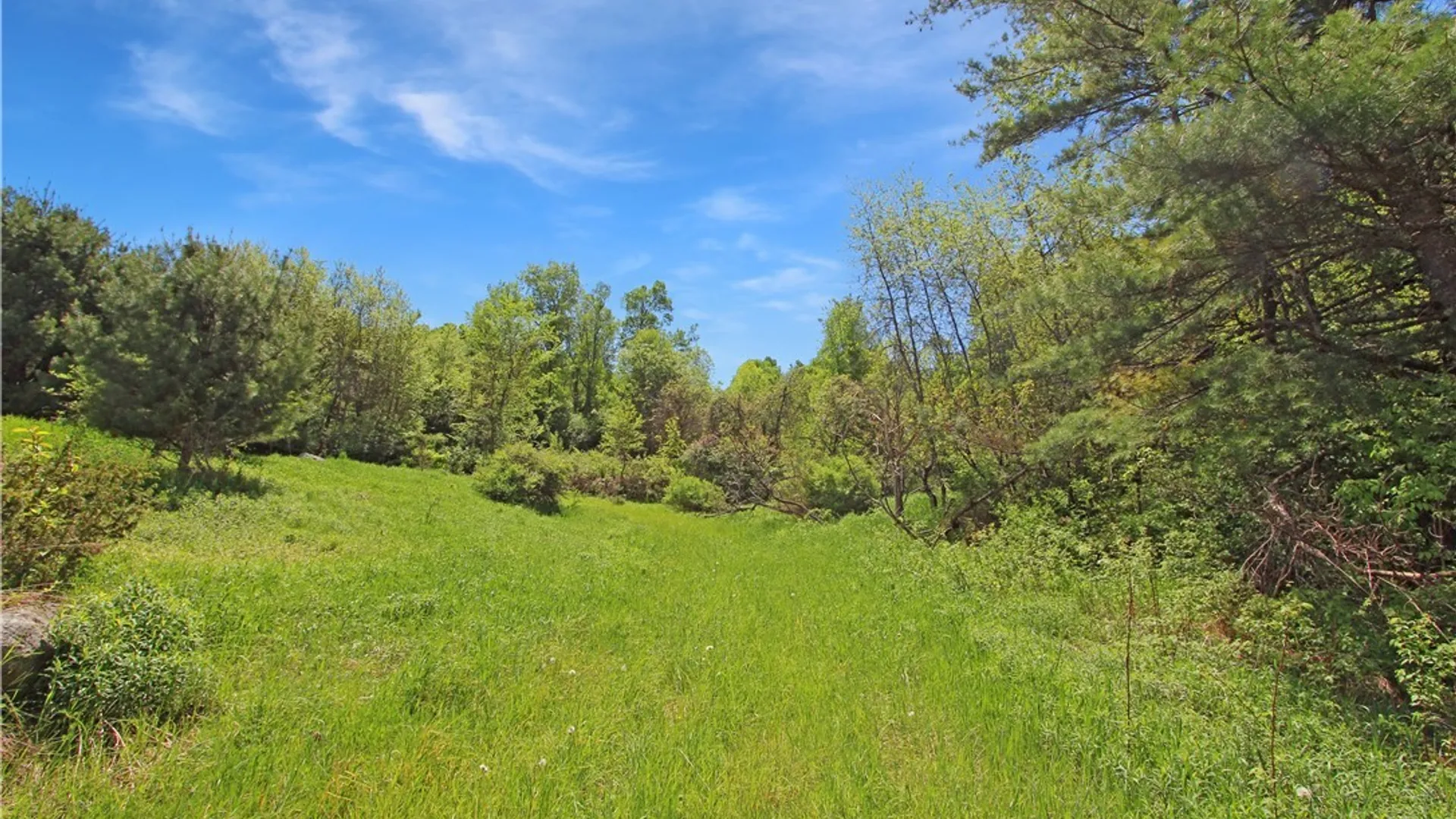 Property at 13911 S Bonaparte Road, Diana, NY 13648 34