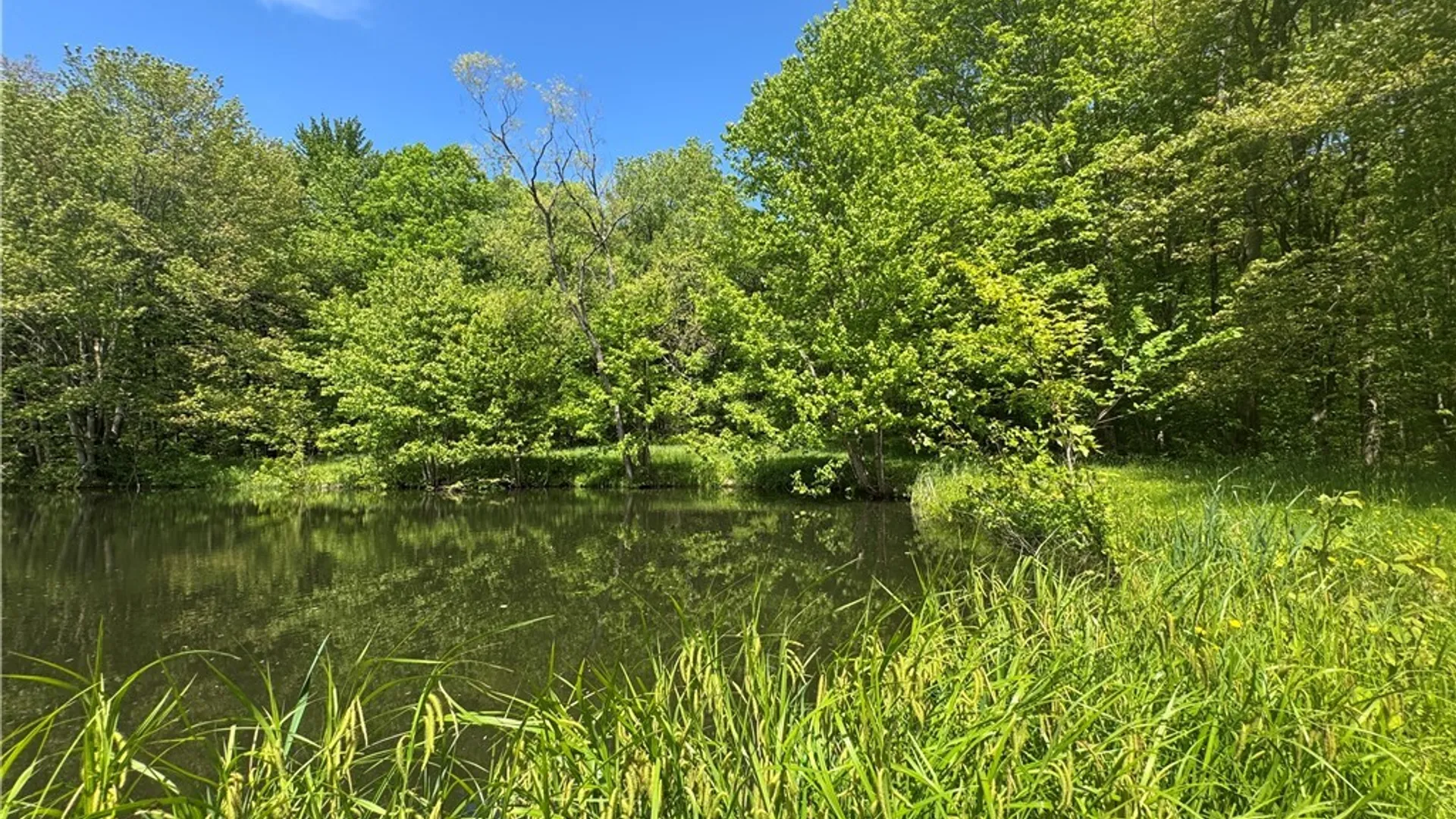Property at 1689 Hillsboro Road, Camden, NY 13316 41