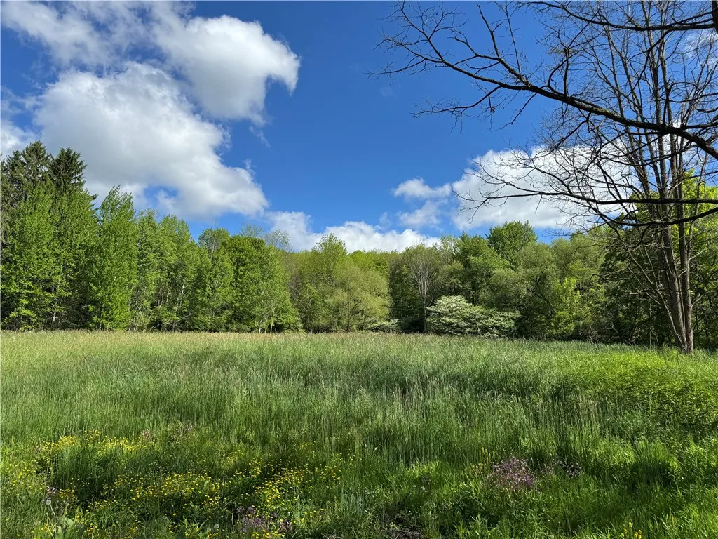 Property at 1104 Downey Road, Otego, NY 13825
