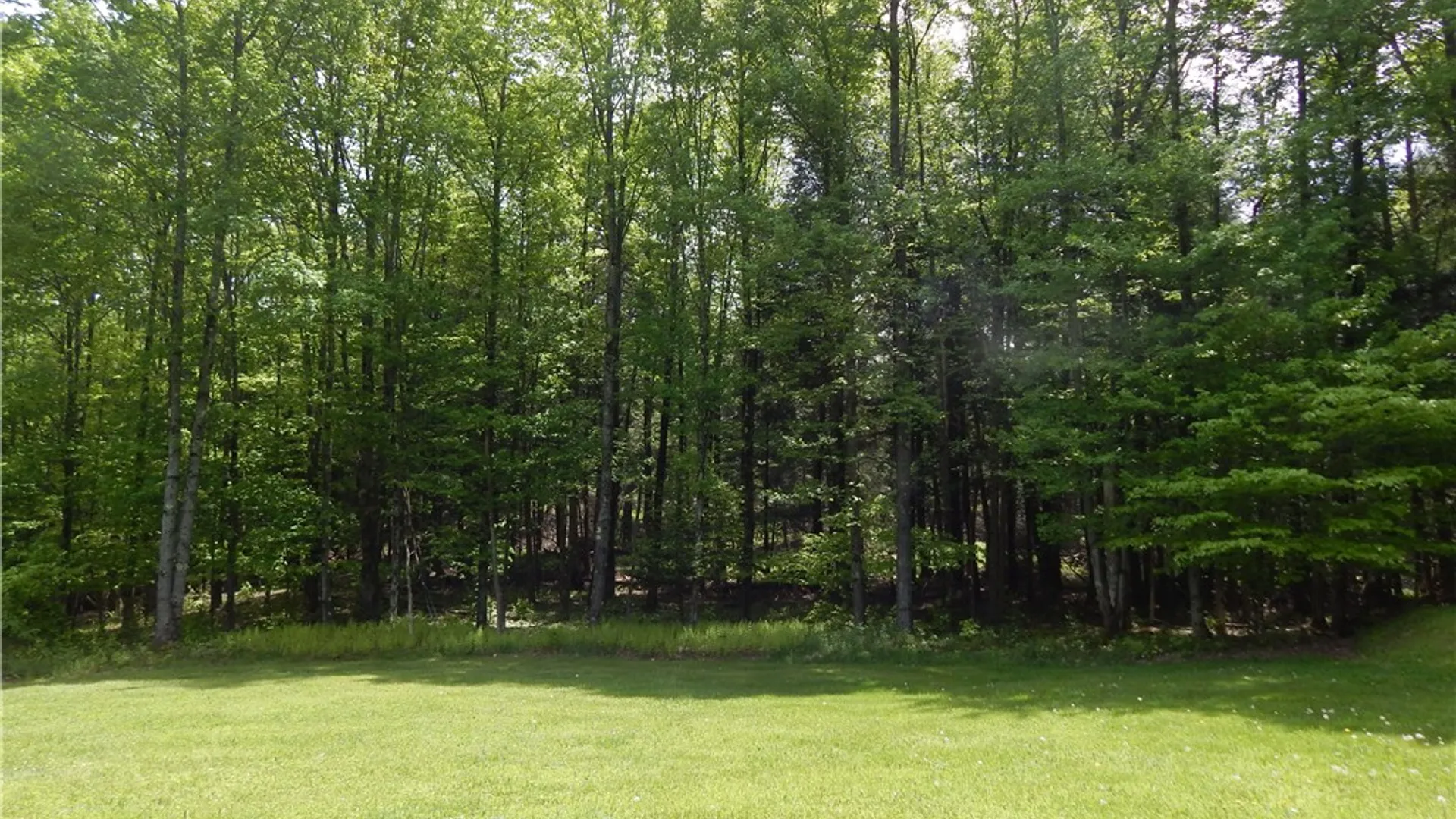 Property at 108 Toy Farm Road, Hartwick, NY 13348 21