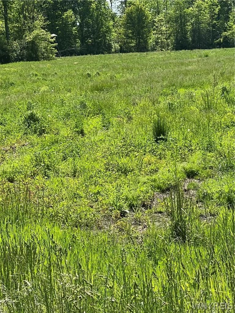 Property at 3554 & 3548 Beebe Road, Wilson, NY 14108