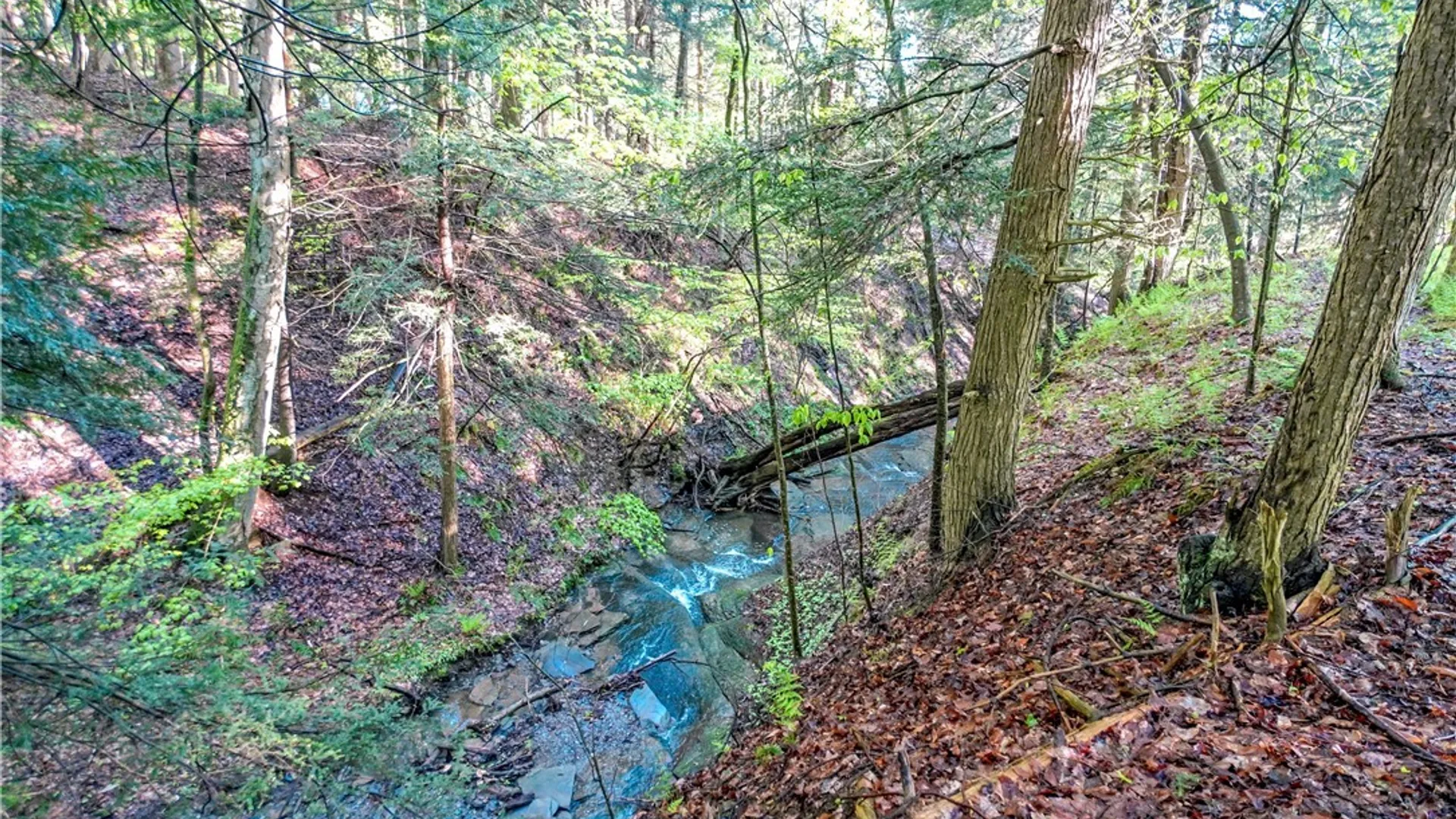 Property at 9598 Sisson Highway, Eden, NY 14057 5