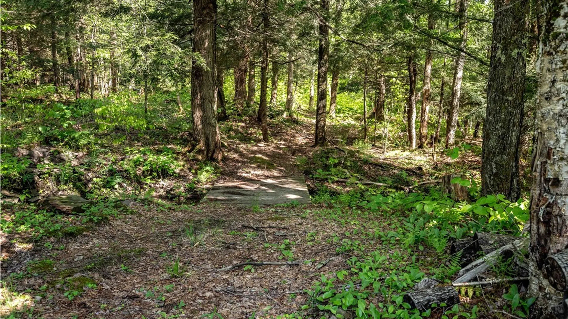Property at 1924 Kotary Road, Lewis, NY 13325 14