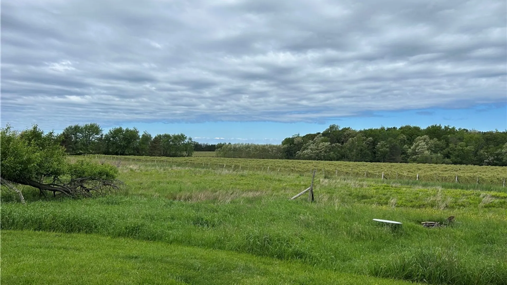 Property at 5192 Webster Road, Pomfret, NY 14063 12