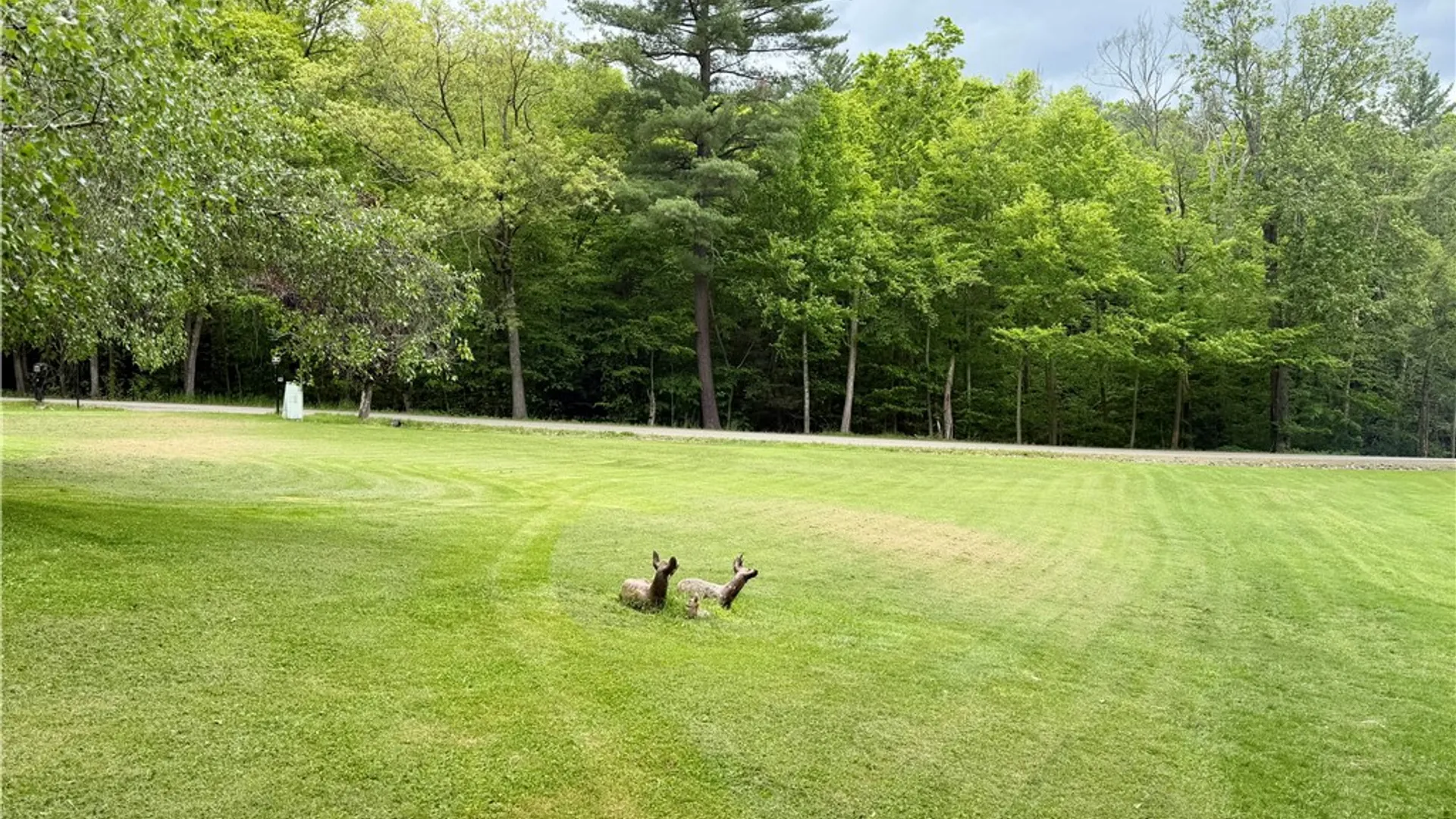 Property at 725 Litchfield Road, PA 18840 4