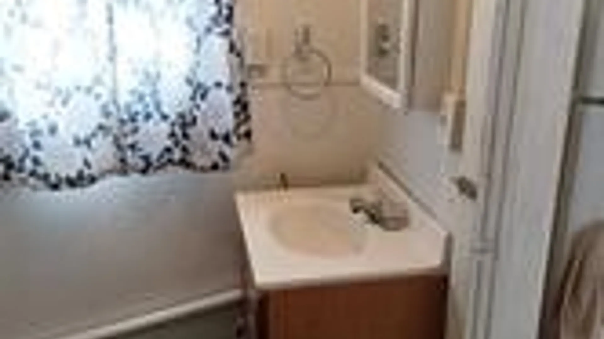 Property at 149 E Elisha Street, Waterloo, NY 13165 22