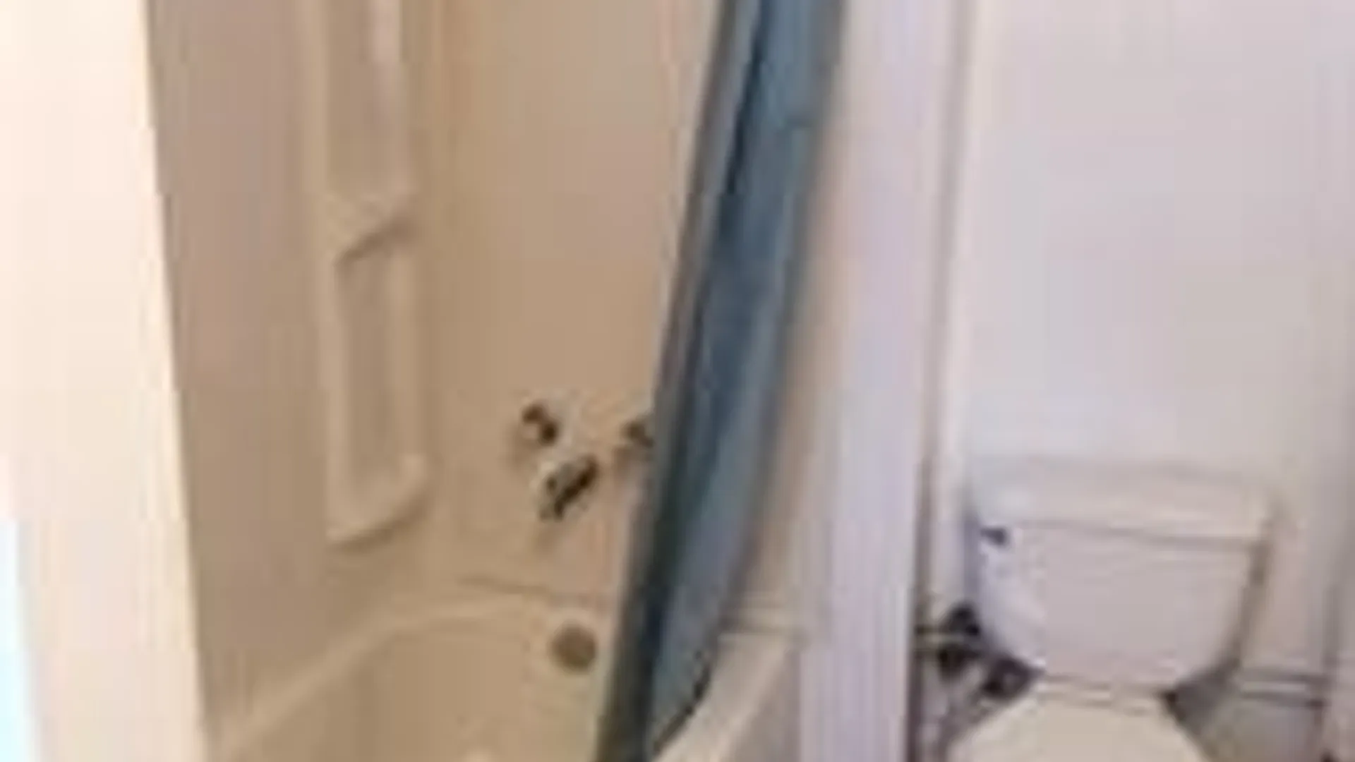 Property at 149 E Elisha Street, Waterloo, NY 13165 15