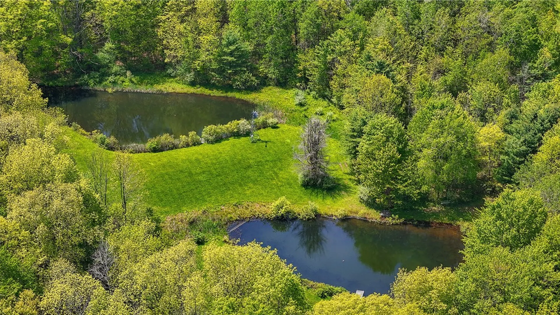 Property at 3041 County Road 21, Orange, NY 14891 27