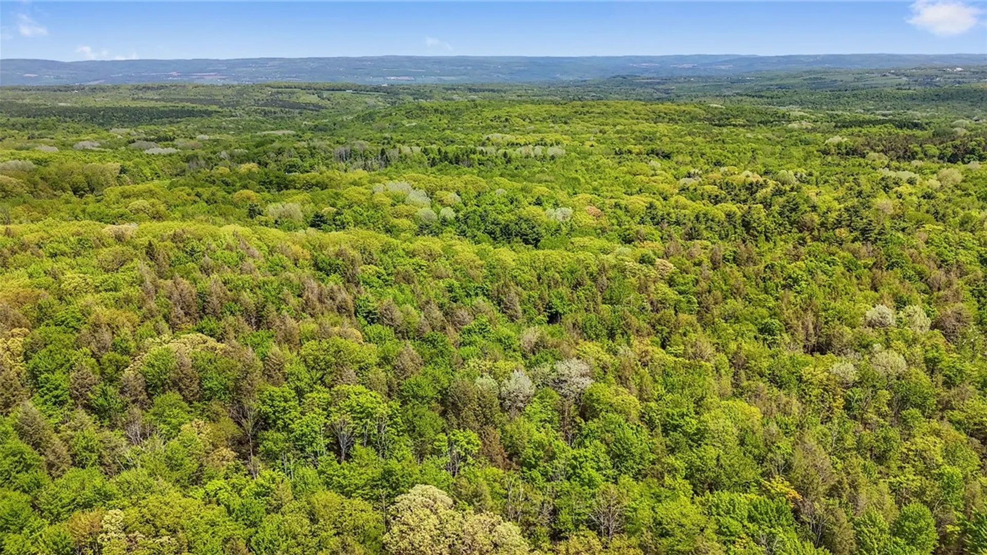 Property at 3041 County Road 21, Orange, NY 14891 32