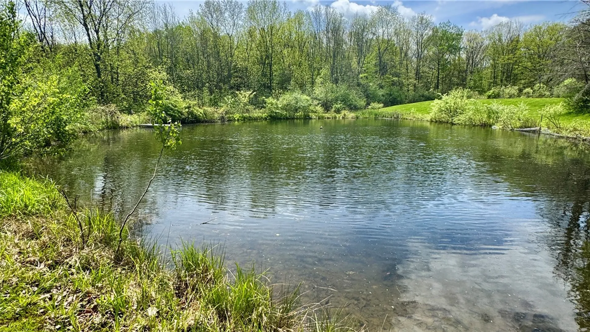 Property at 3041 County Road 21, Orange, NY 14891 36