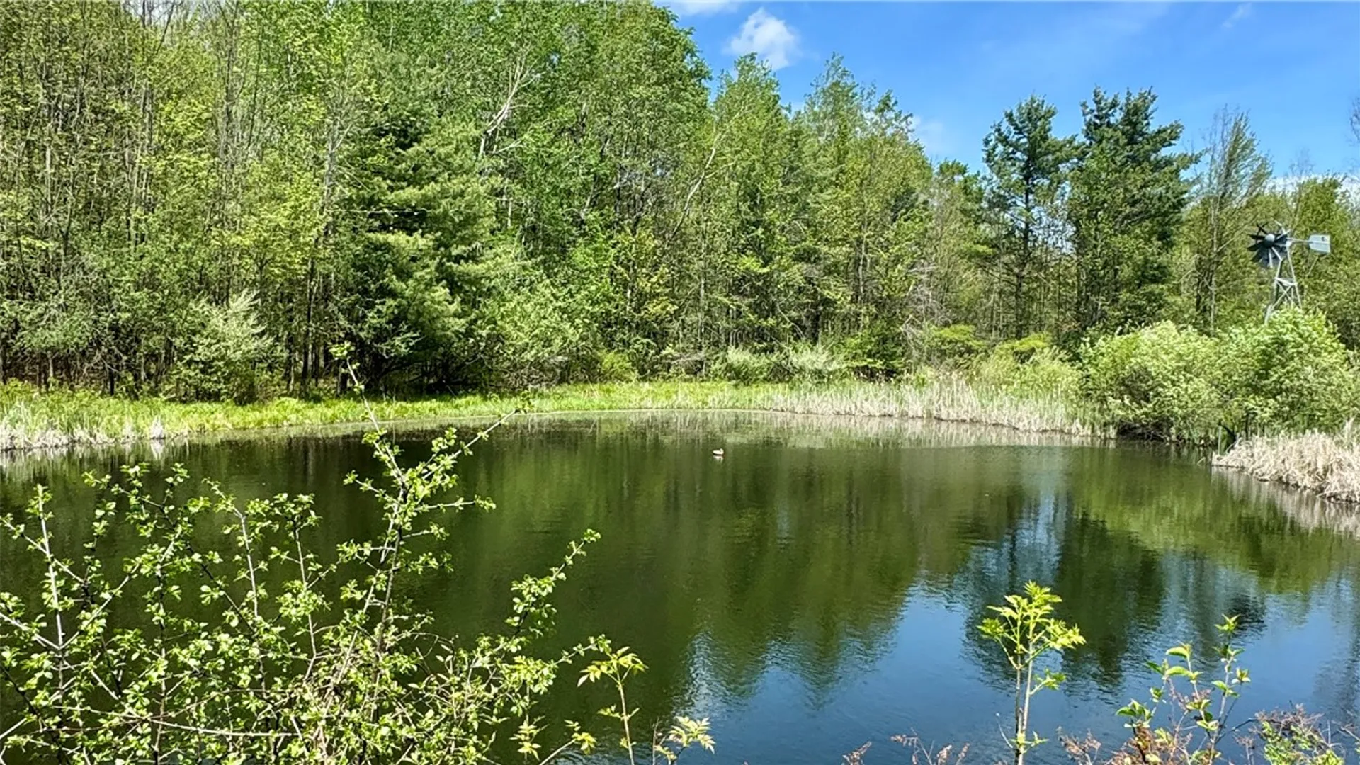Property at 3041 County Road 21, Orange, NY 14891 37
