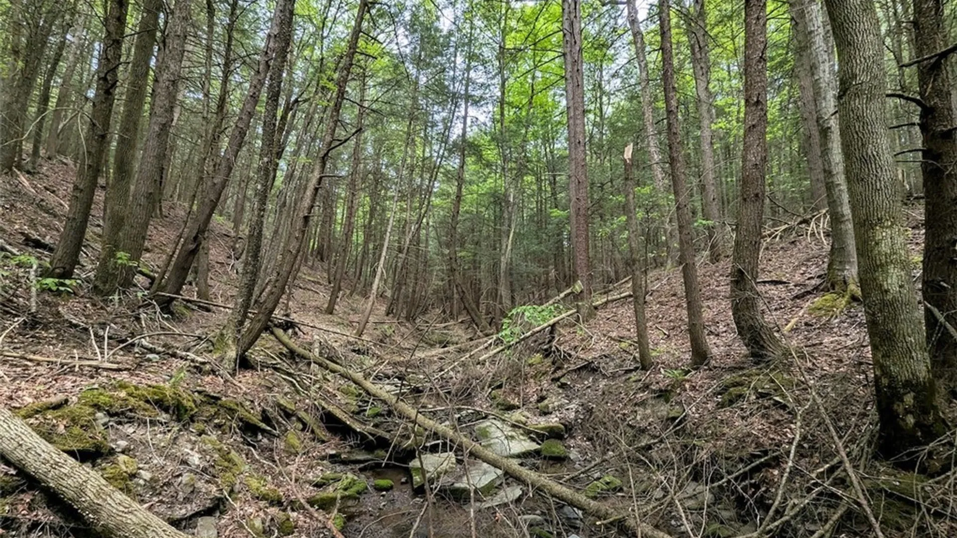 Property at Stewart Road, Tuscarora, NY 14801 20