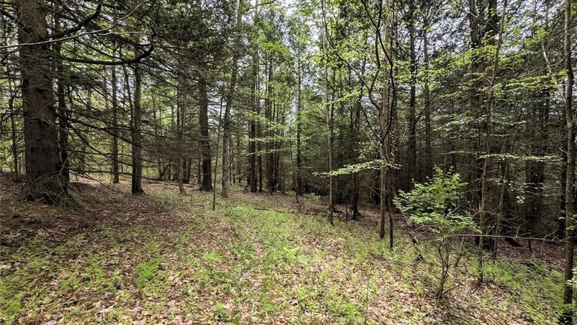 Property at Stewart Road, Tuscarora, NY 14801 22