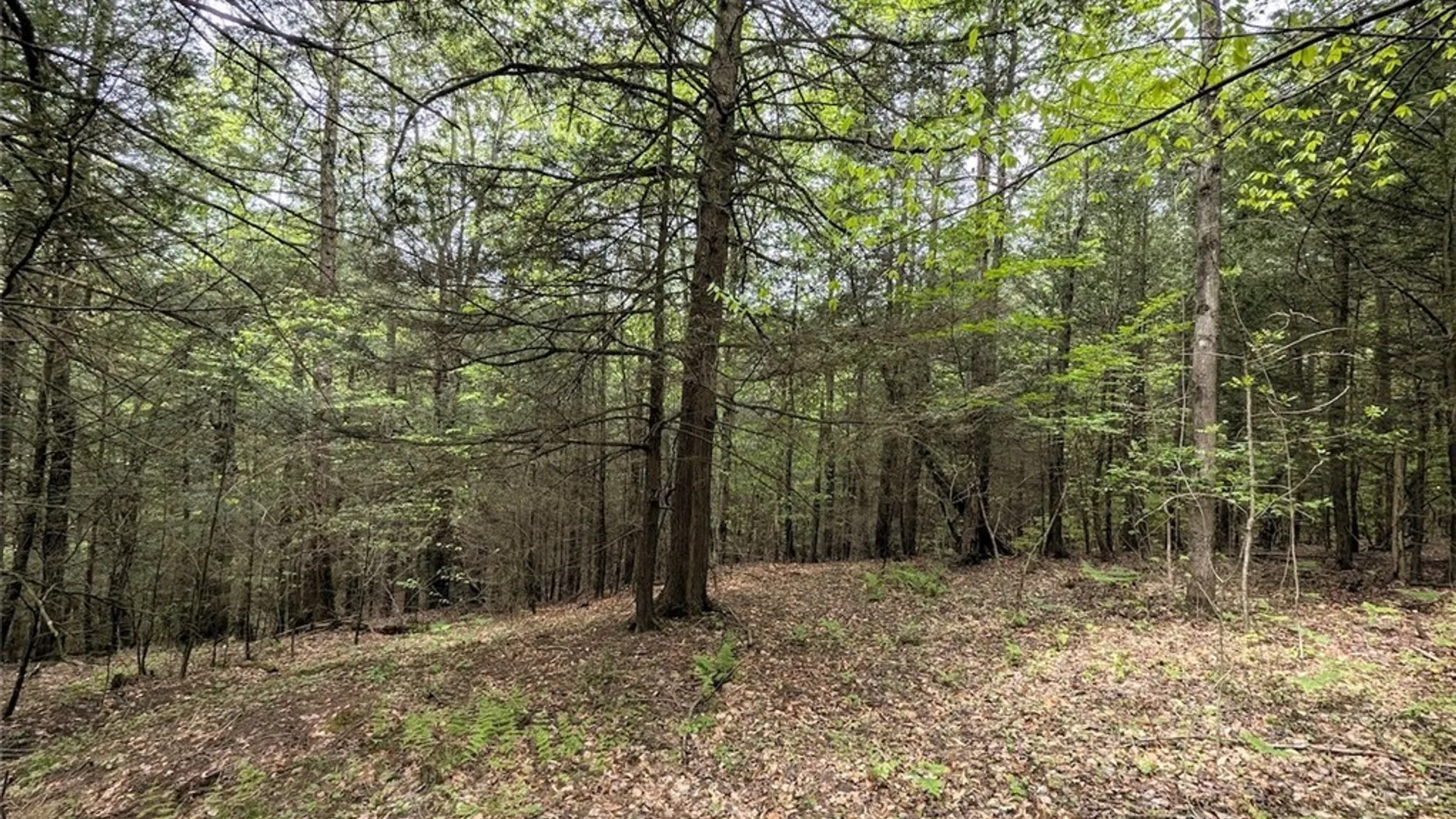 Property at Stewart Road, Tuscarora, NY 14801 23