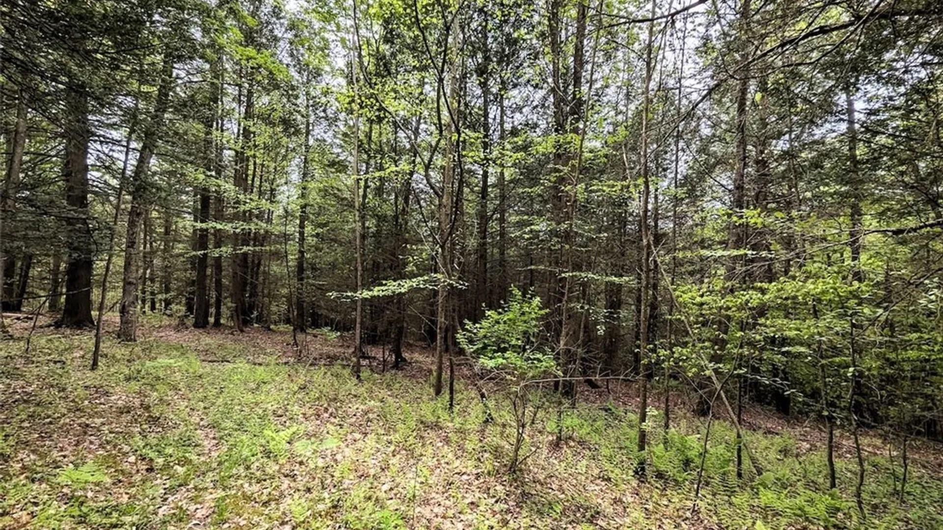 Property at Stewart Road, Tuscarora, NY 14801 24