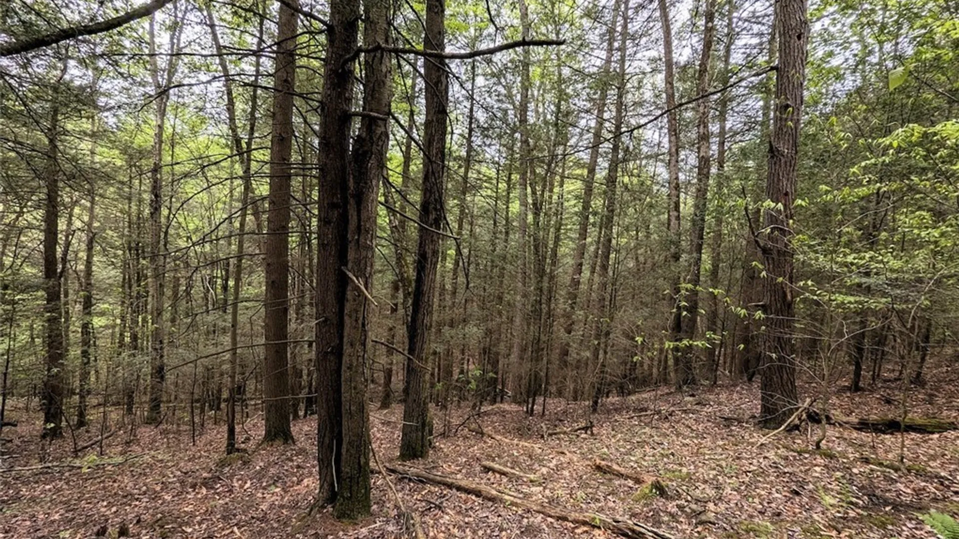 Property at Stewart Road, Tuscarora, NY 14801 26