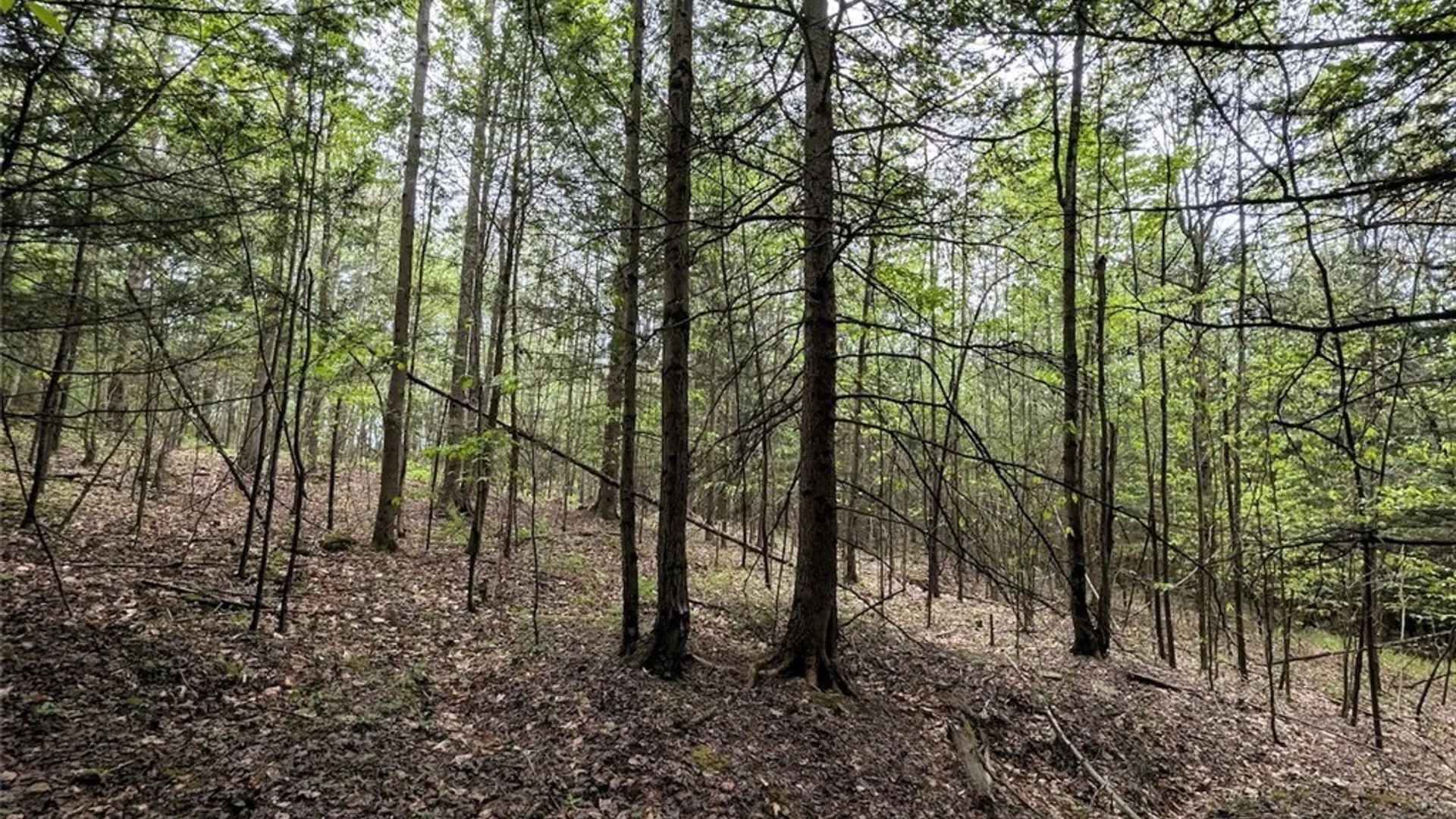 Property at Stewart Road, Tuscarora, NY 14801 27