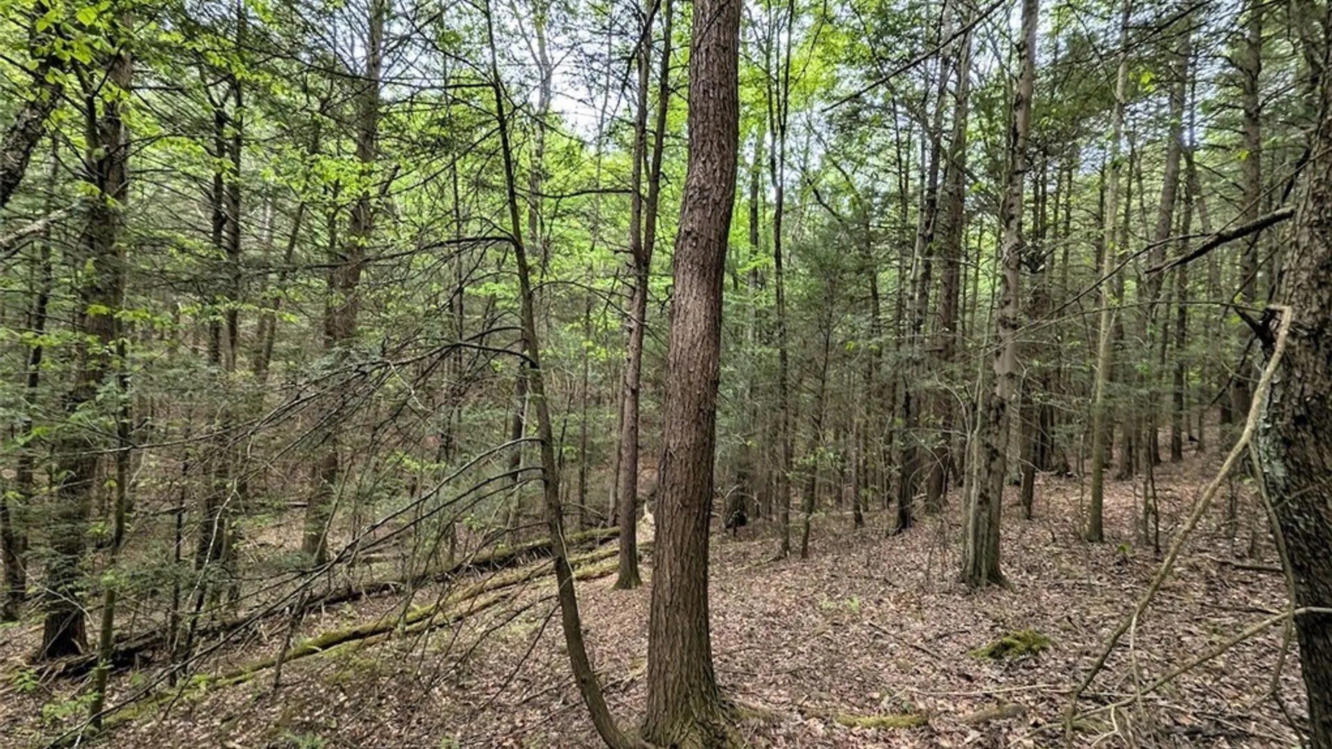 Property at Stewart Road, Tuscarora, NY 14801 28