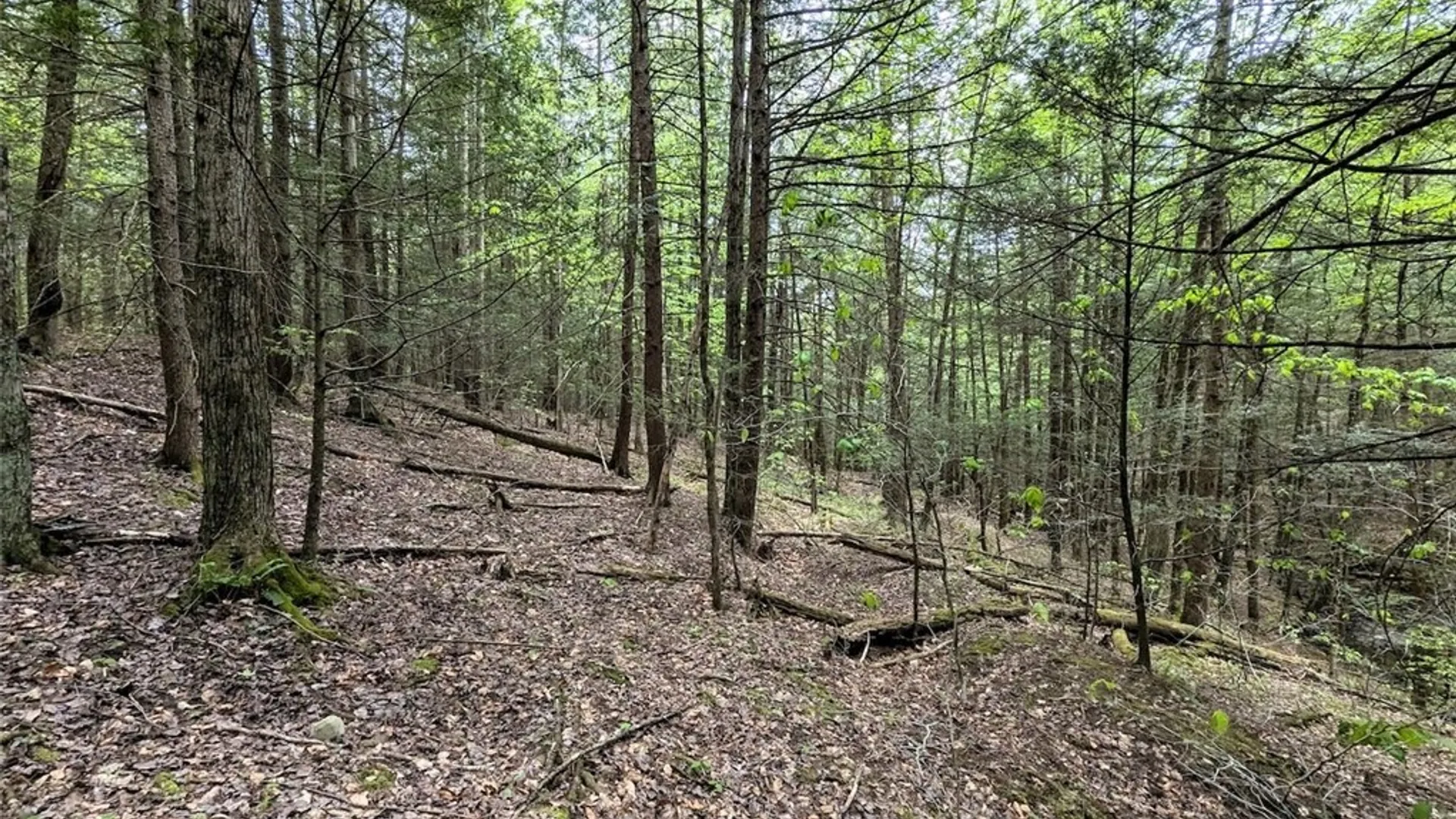 Property at Stewart Road, Tuscarora, NY 14801 29