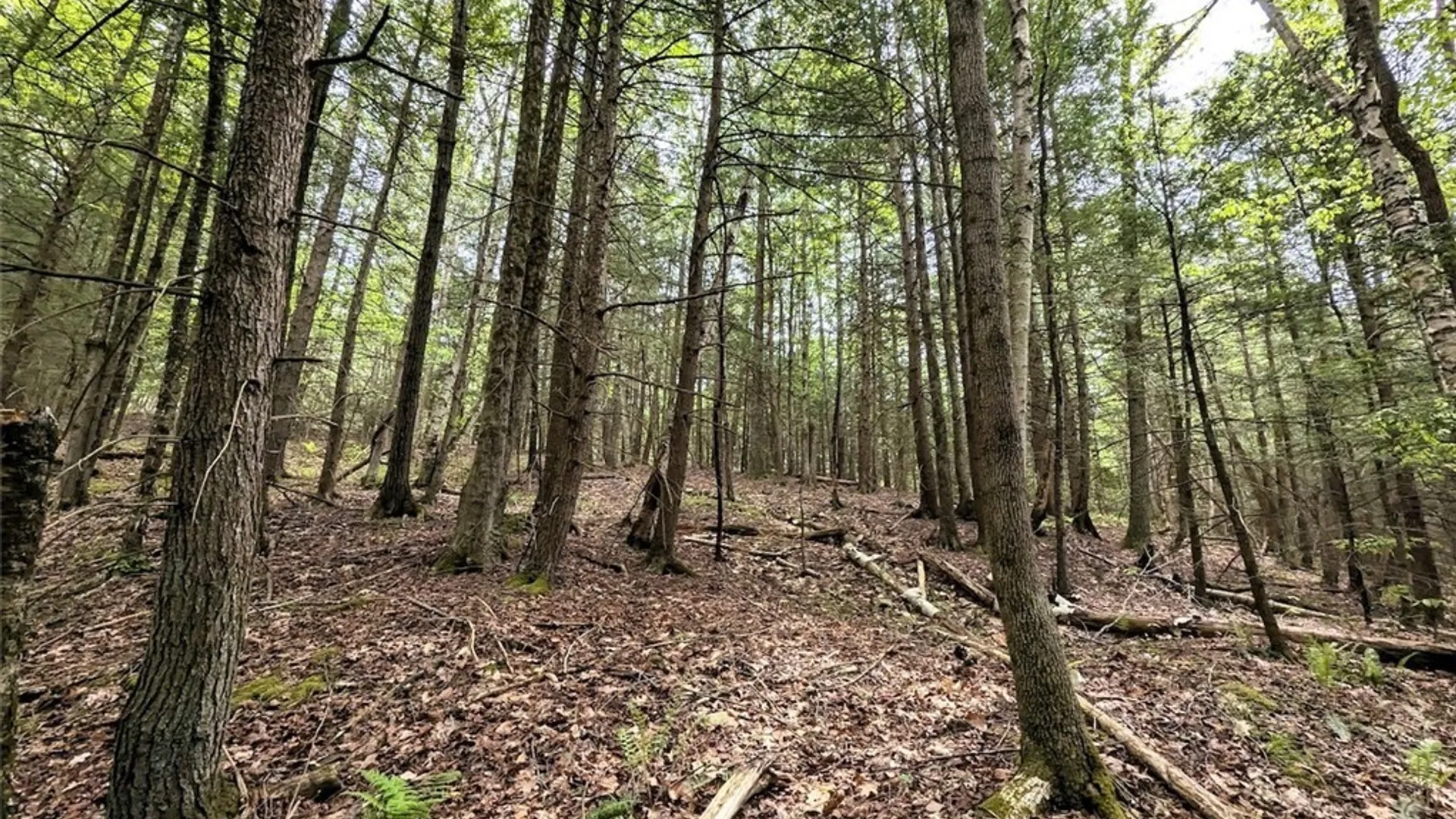 Property at Stewart Road, Tuscarora, NY 14801 30
