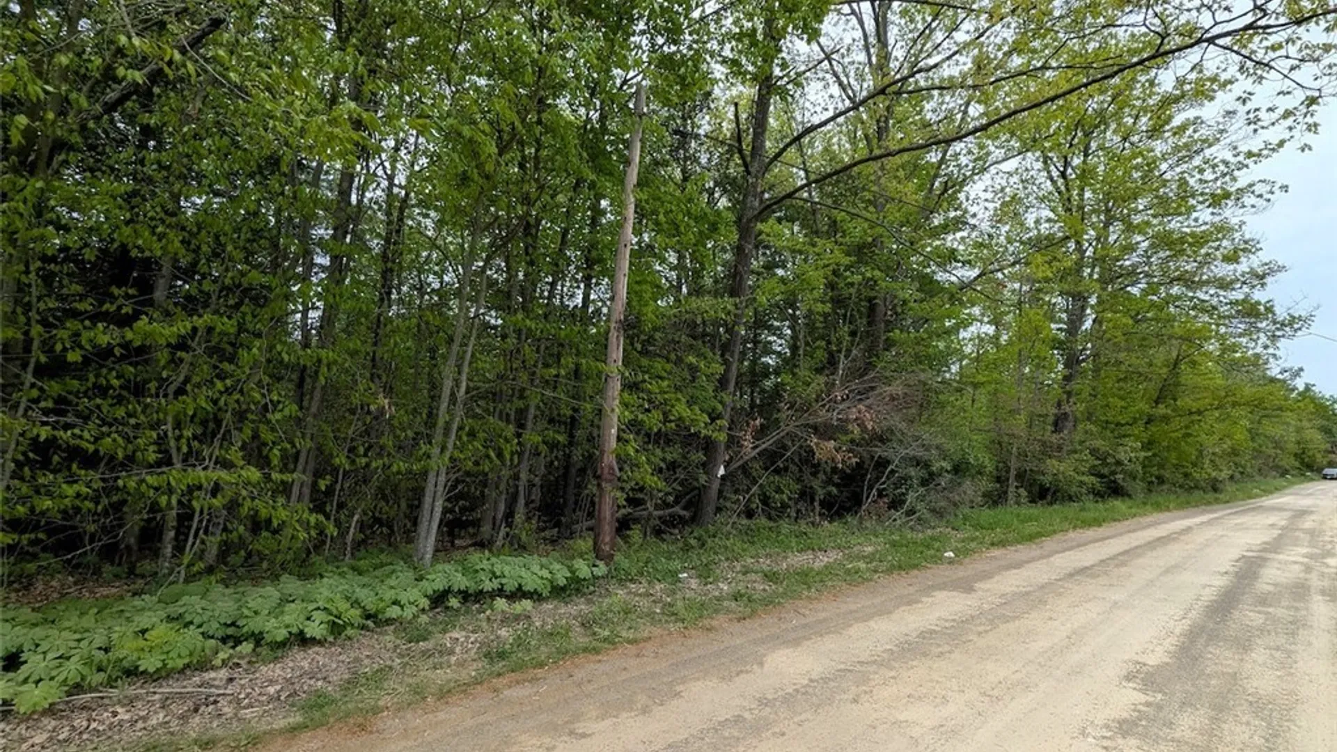 Property at Stewart Road, Tuscarora, NY 14801 33