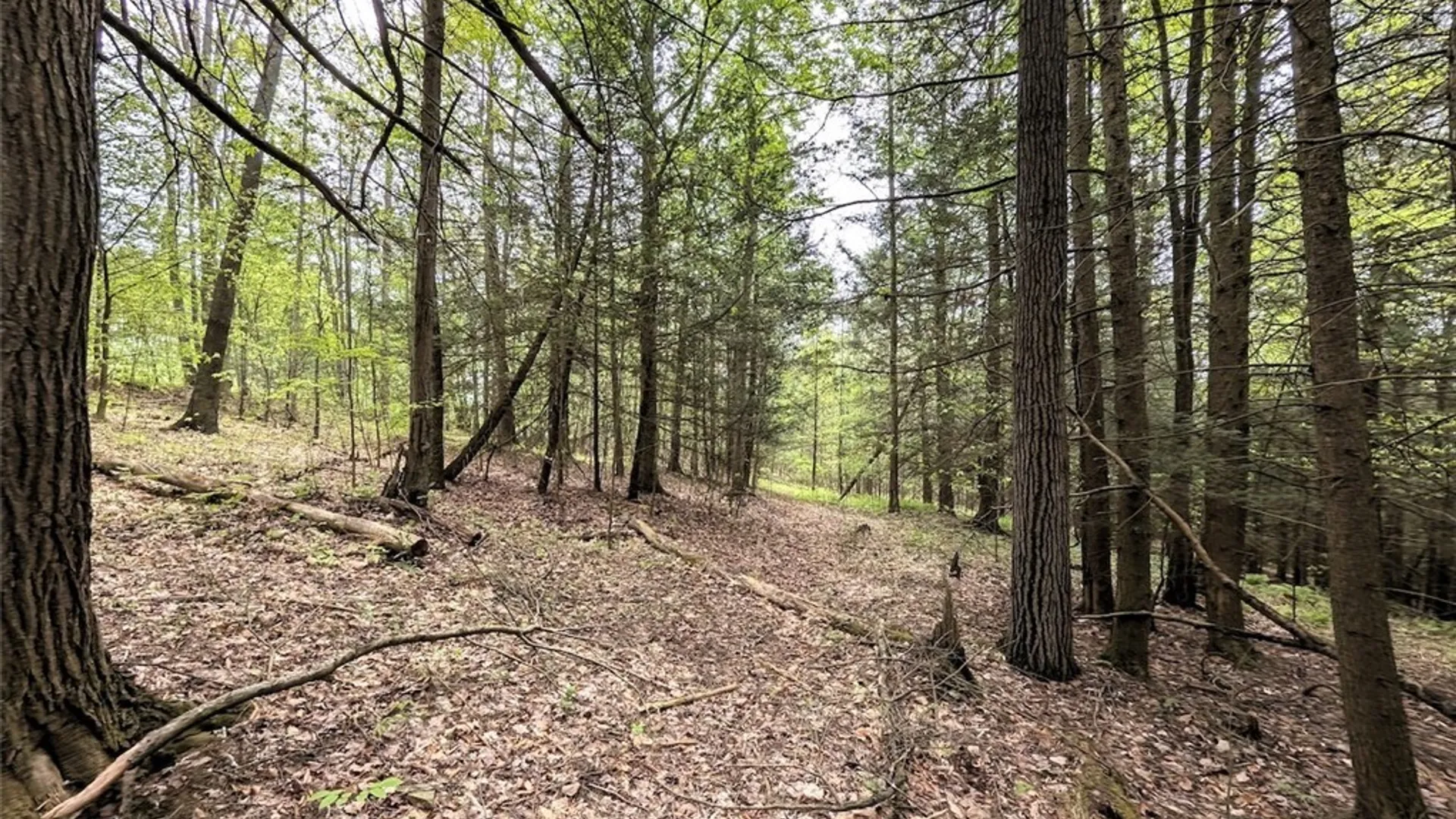 Property at Stewart Road, Tuscarora, NY 14801 12