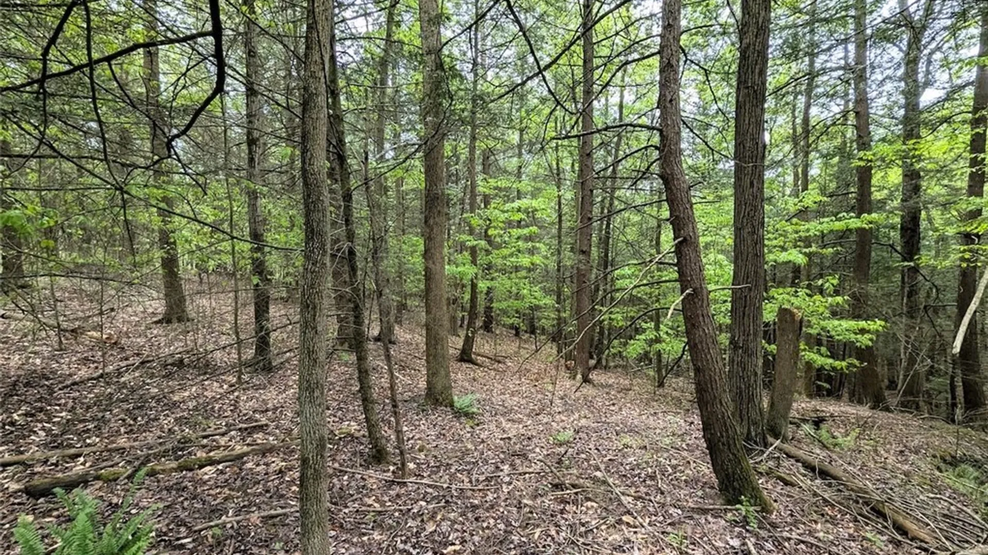 Property at Stewart Road, Tuscarora, NY 14801 14