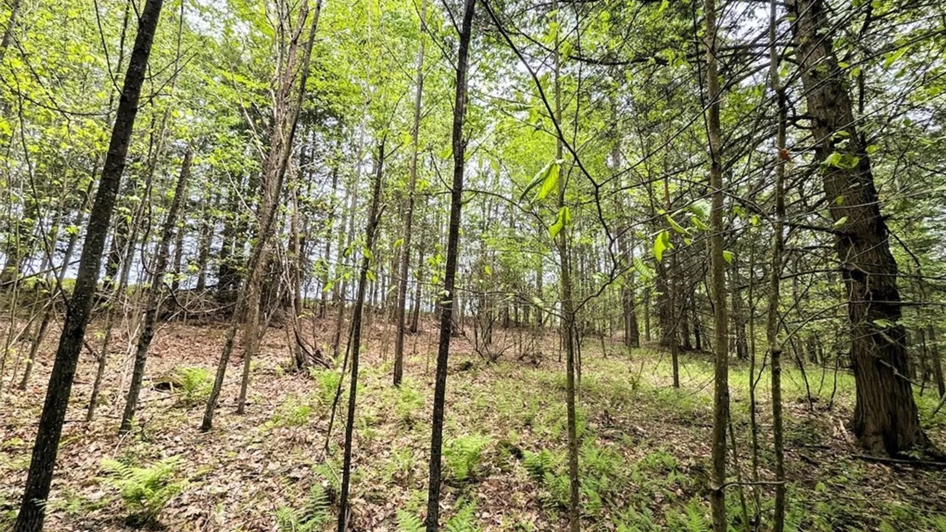 Property at Stewart Road, Tuscarora, NY 14801 15