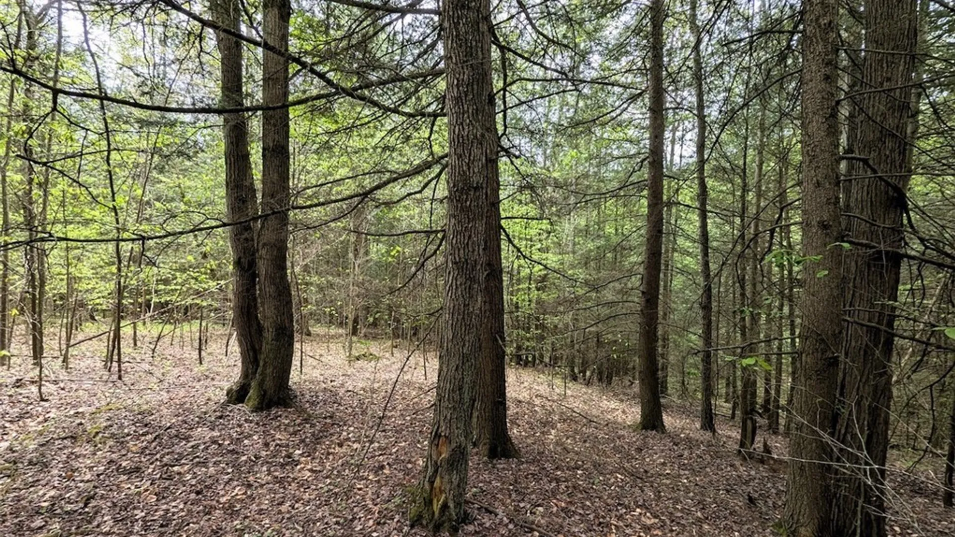 Property at Stewart Road, Tuscarora, NY 14801 16