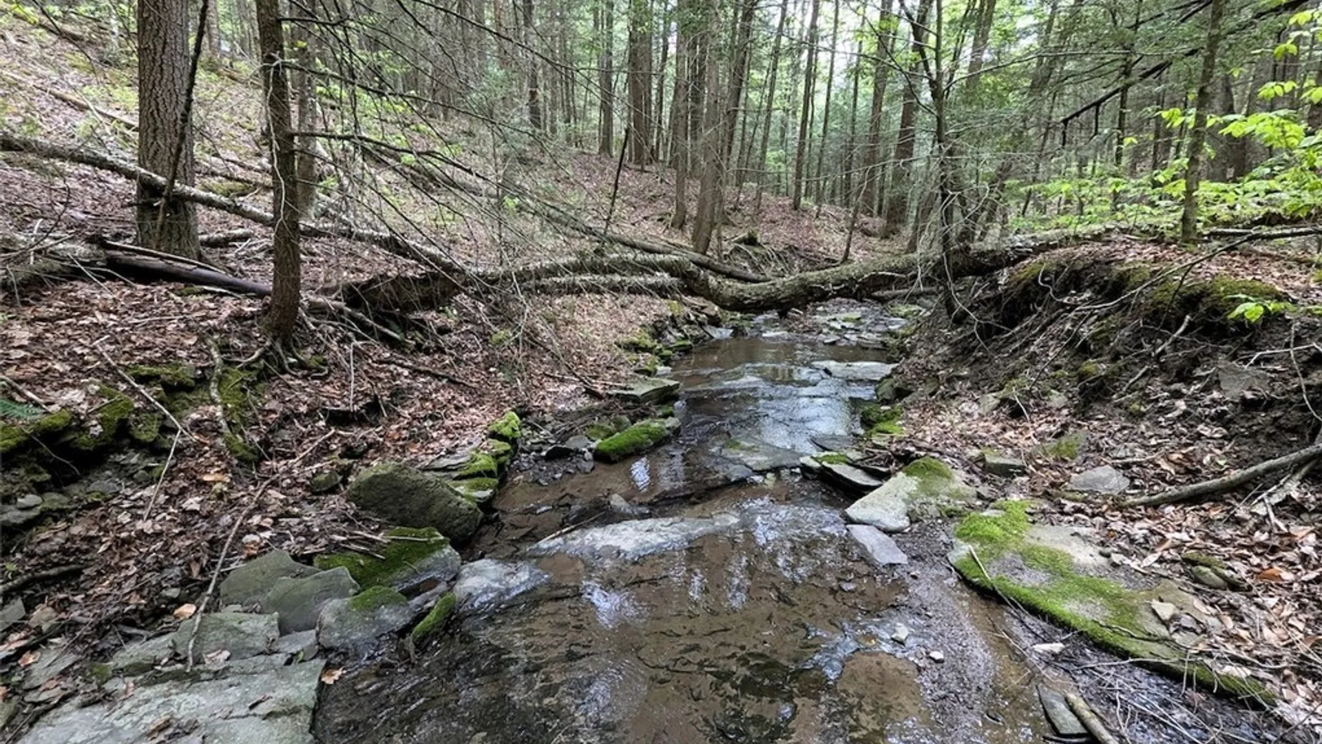 Property at Stewart Road, Tuscarora, NY 14801 17