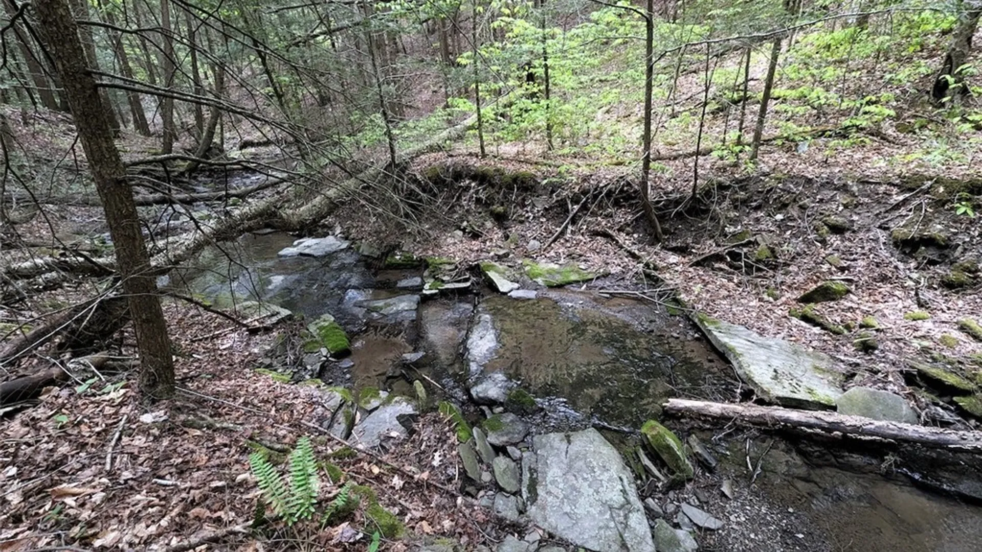 Property at Stewart Road, Tuscarora, NY 14801 18