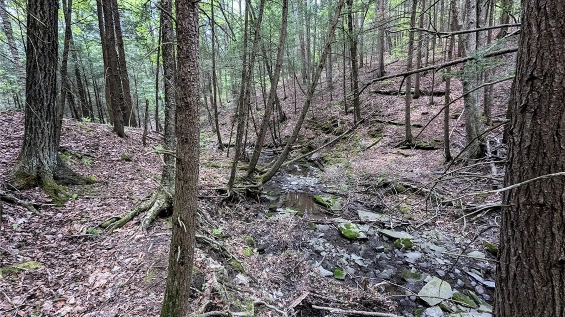 Property at Stewart Road, Tuscarora, NY 14801 19