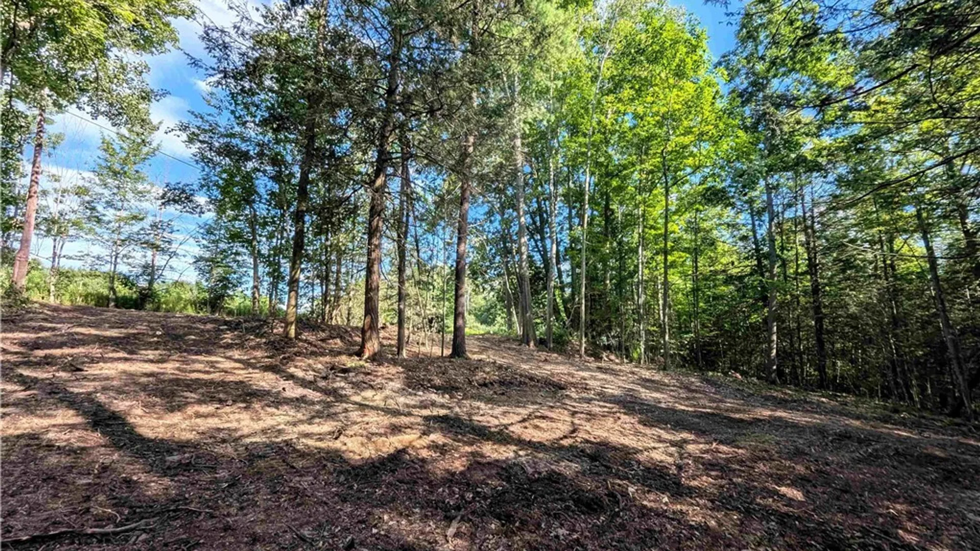 Property at Stewart Road, Tuscarora, NY 14801 9