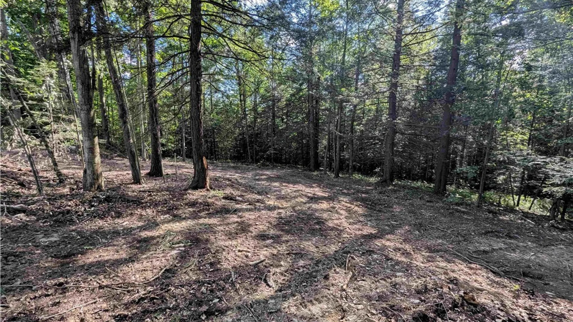 Property at Stewart Road, Tuscarora, NY 14801 11