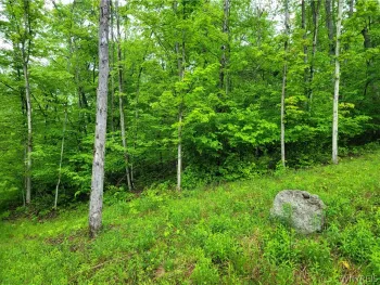 Property at 0 Co Road 24- Lot 1, Grove, NY 14884