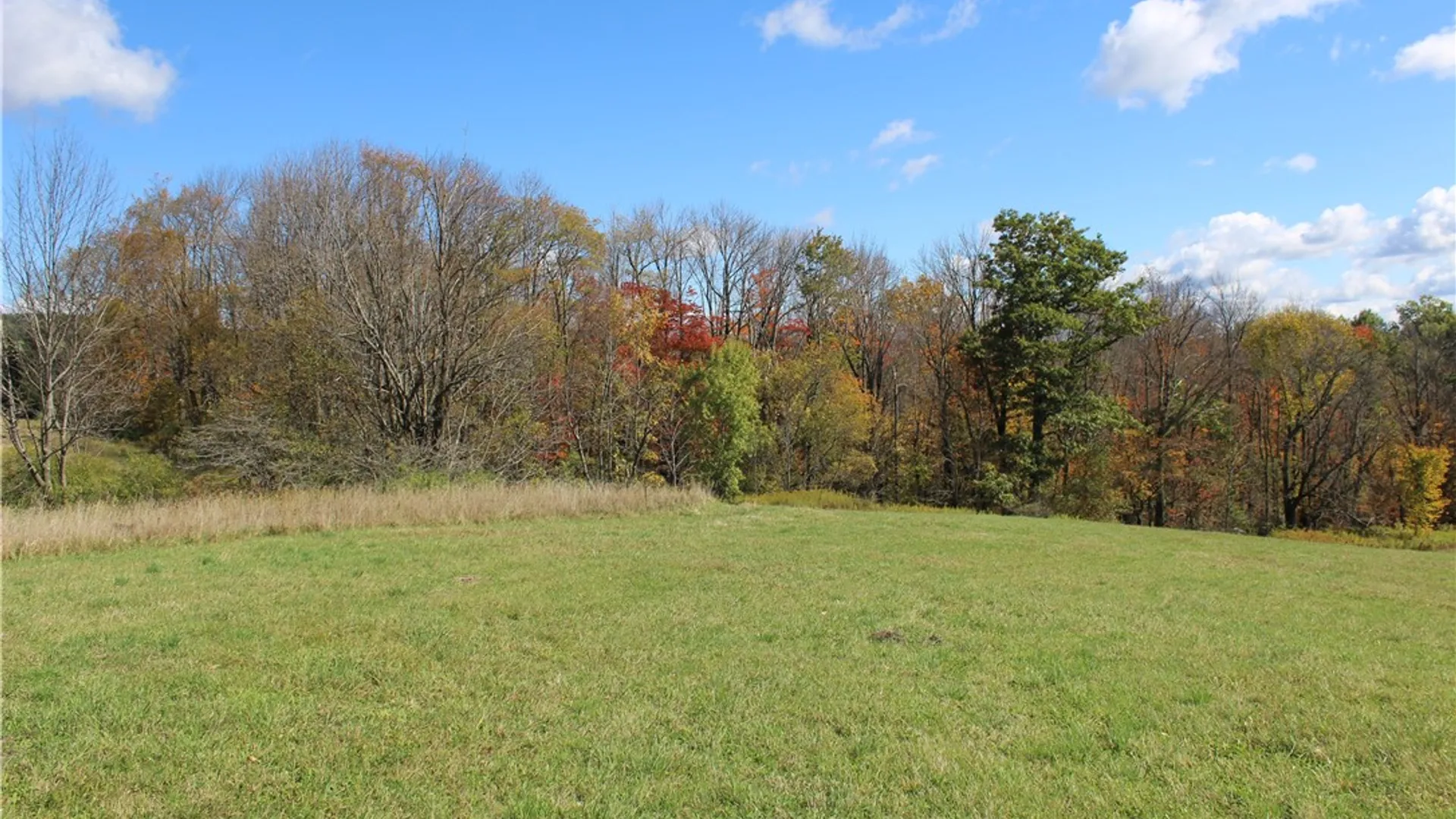 Property at 238 Blackberry Street, Gilboa, NY 12167 3