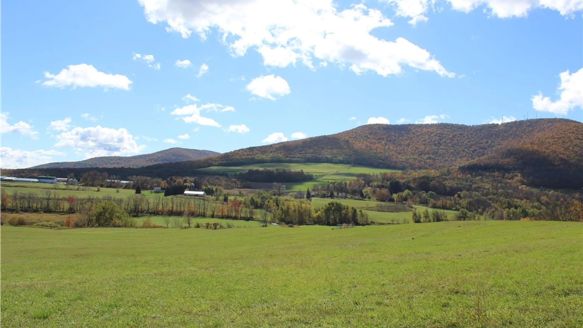 Property at 238 Blackberry Street, Gilboa, NY 12167 6
