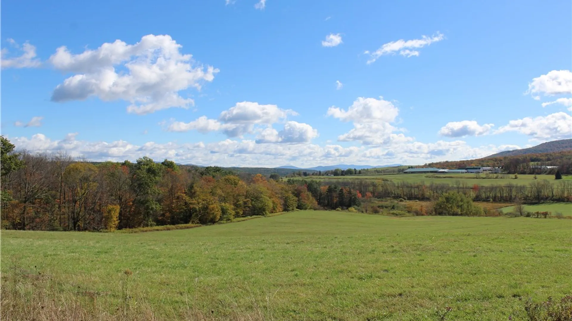 Property at 238 Blackberry Street, Gilboa, NY 12167 7