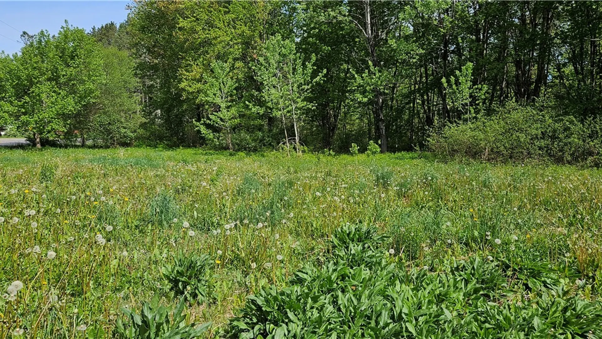 Property at 214 Baum Road, Hastings, NY 13076 7
