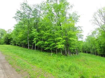 Property at 0 Cr-24- Lot 18, Grove, NY 14884