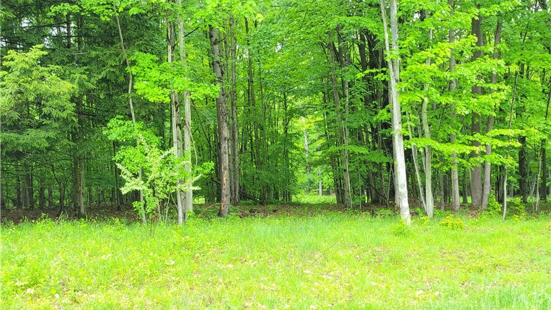 Property at 0 Cr-24- Lot 18, Grove, NY 14884 3