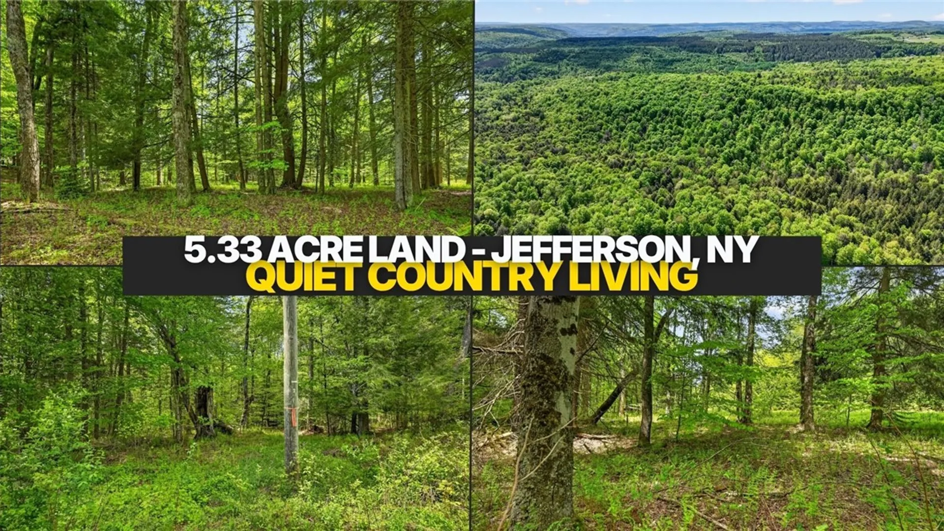 Property at L1.6 Crystal Brook Path, Jefferson, NY 12093 2