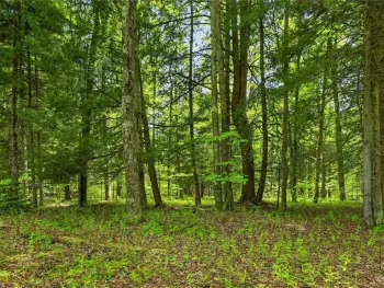 Property at L1.6 Crystal Brook Path, Jefferson, NY 12093