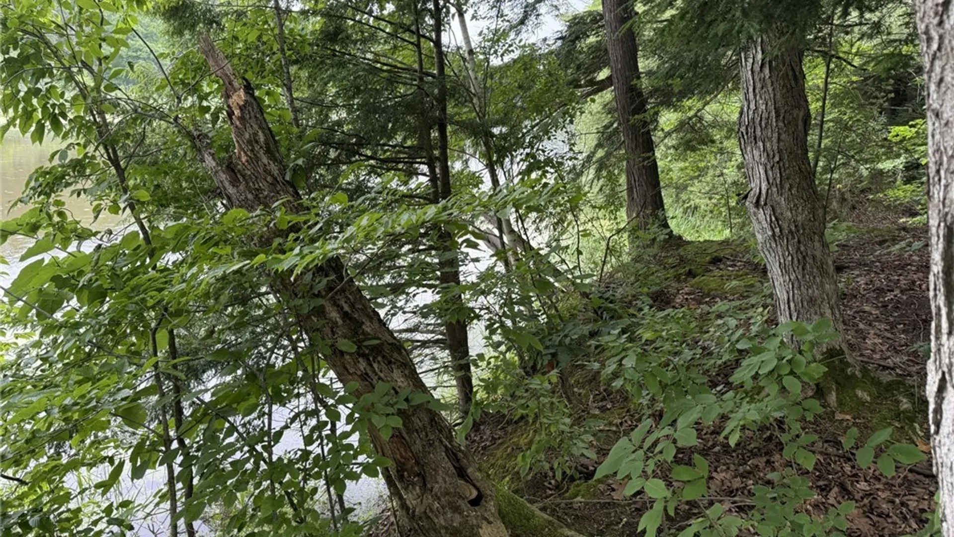 Property at 0 Lot C County RT 179, Clayton, NY 13624 3