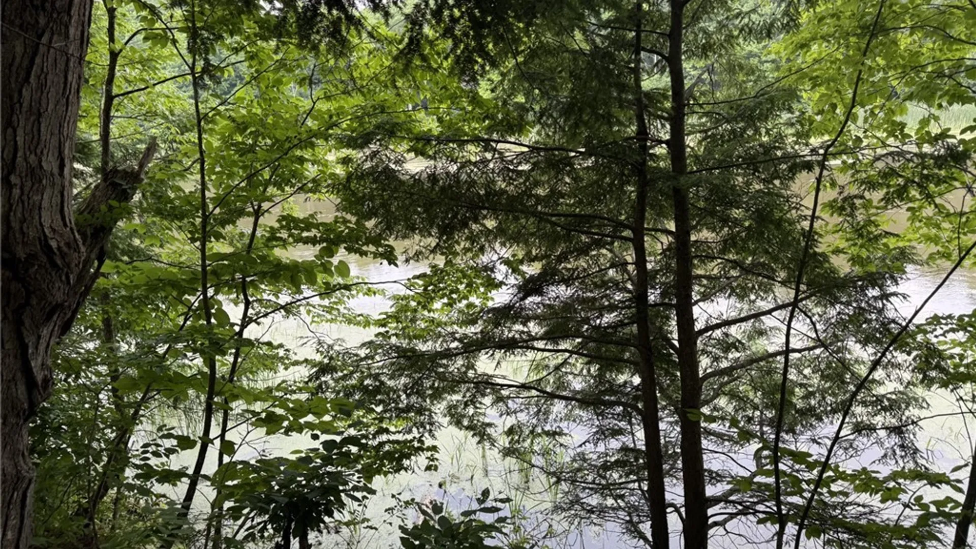 Property at 0 Lot C County RT 179, Clayton, NY 13624 5