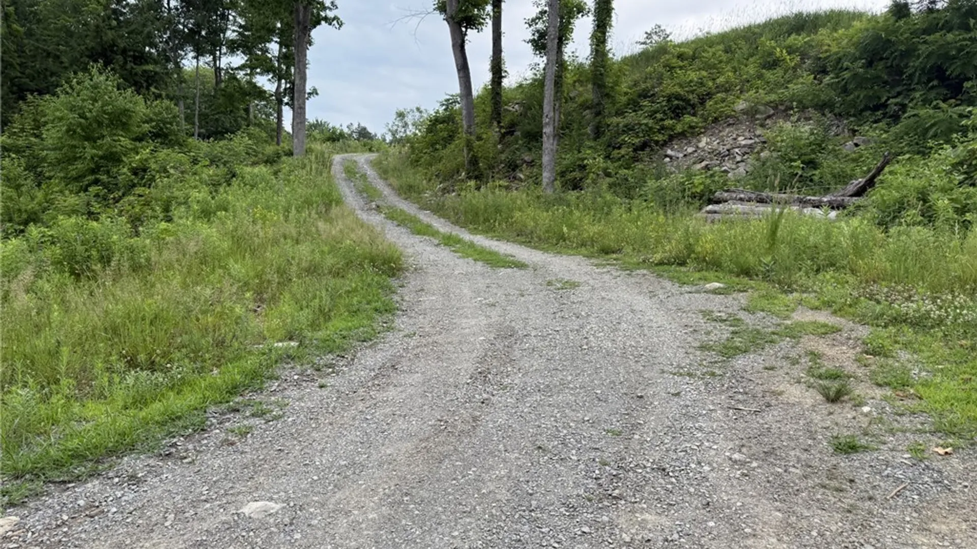 Property at 0 Lot D County RT 179, Clayton, NY 13624 5