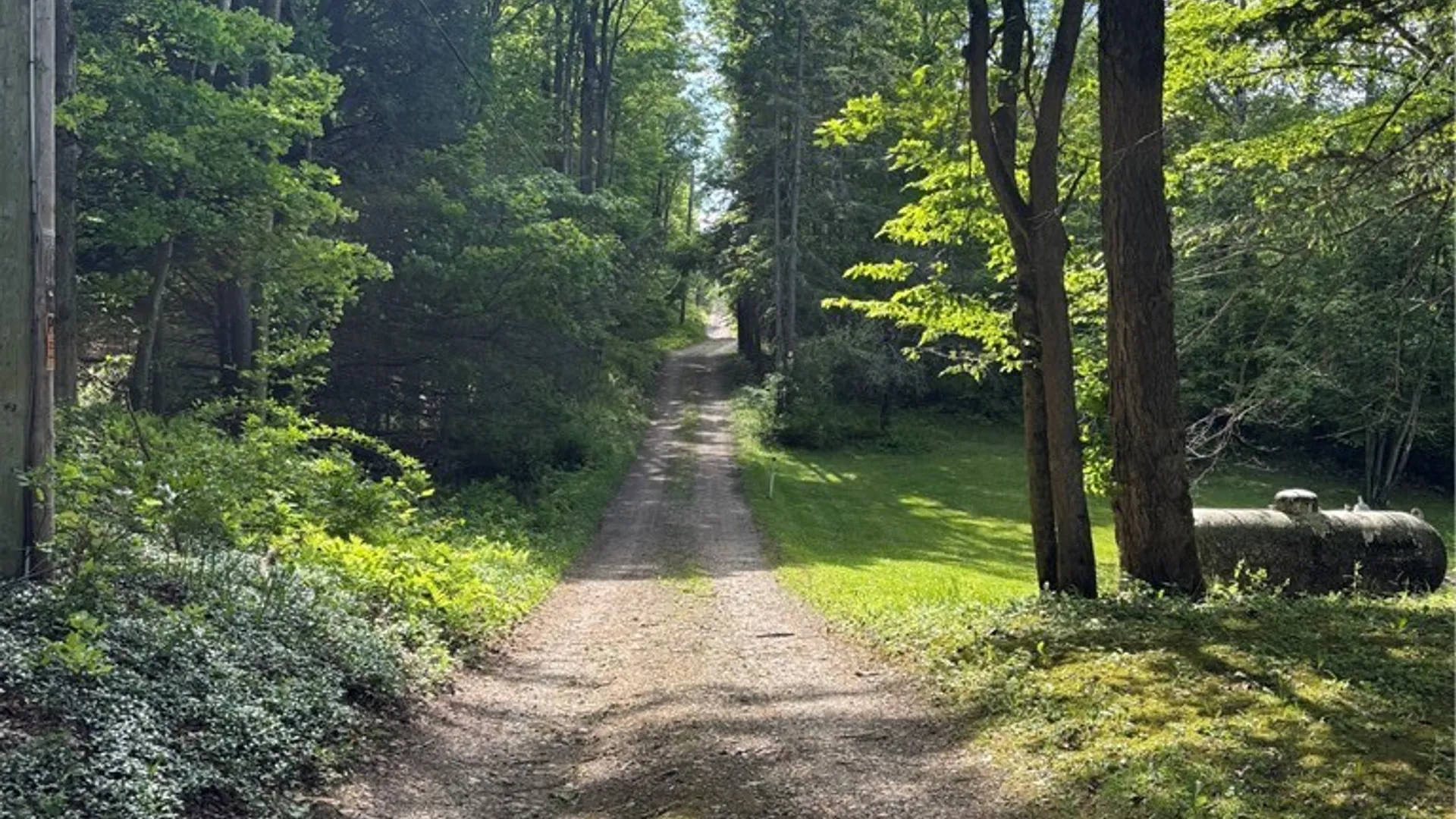Property at 10147 Savage Road, Sardinia, NY 14080 12