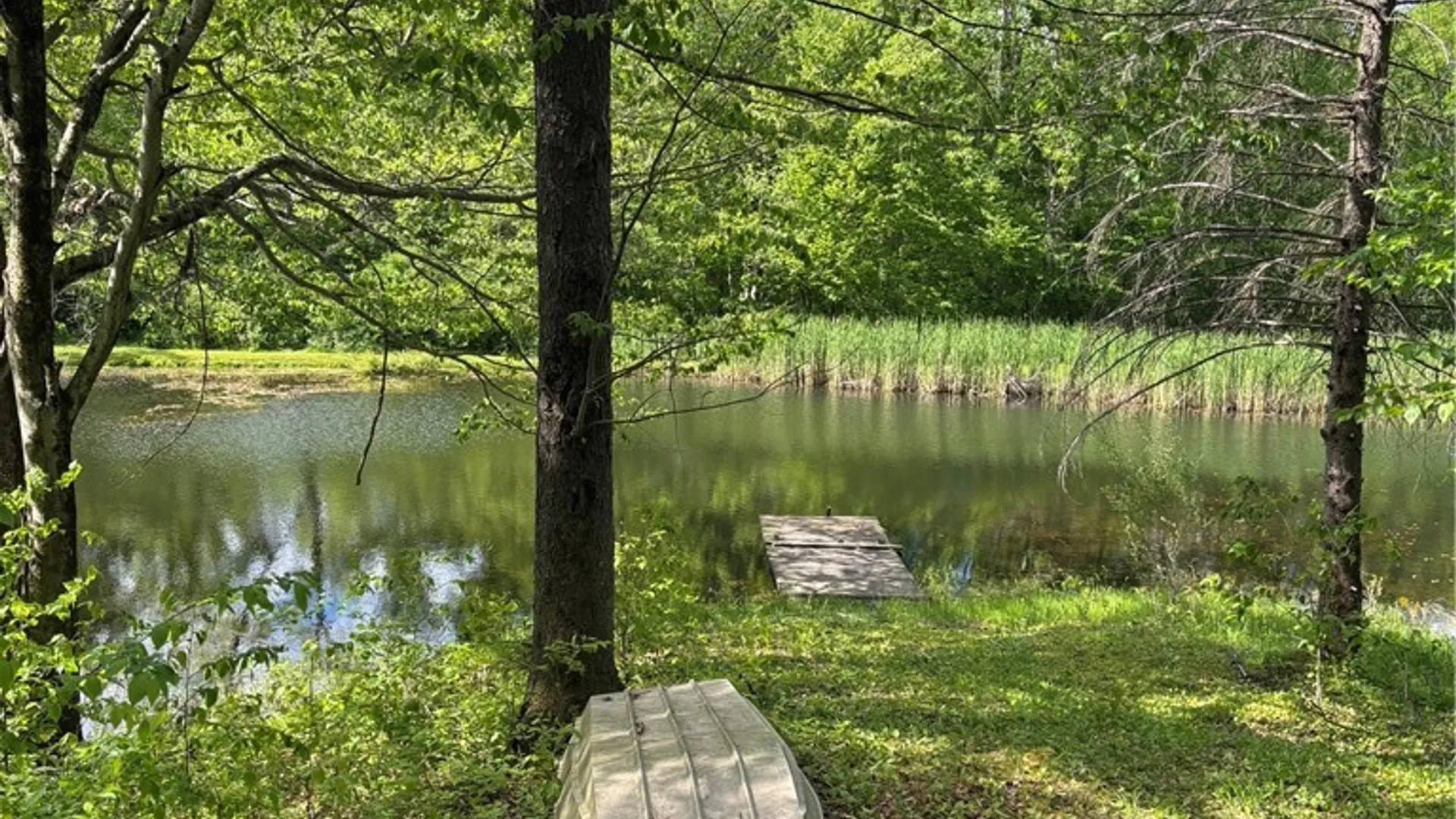 Property at 10147 Savage Road, Sardinia, NY 14080 16