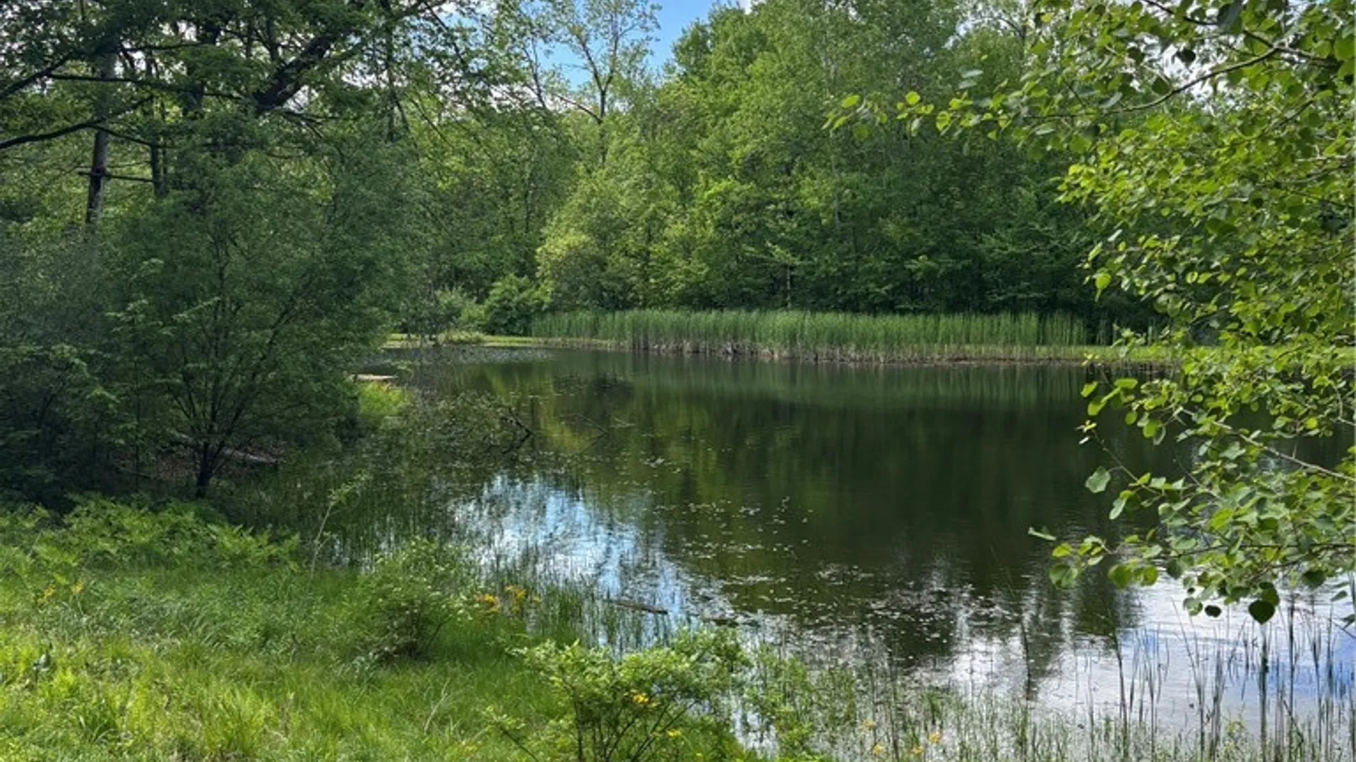 Property at 10147 Savage Road, Sardinia, NY 14080 18
